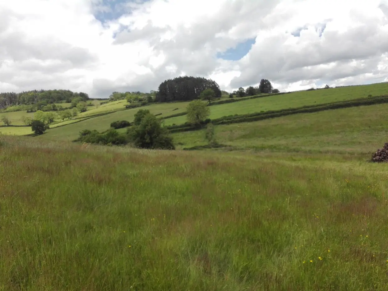 paysage du Clunisois